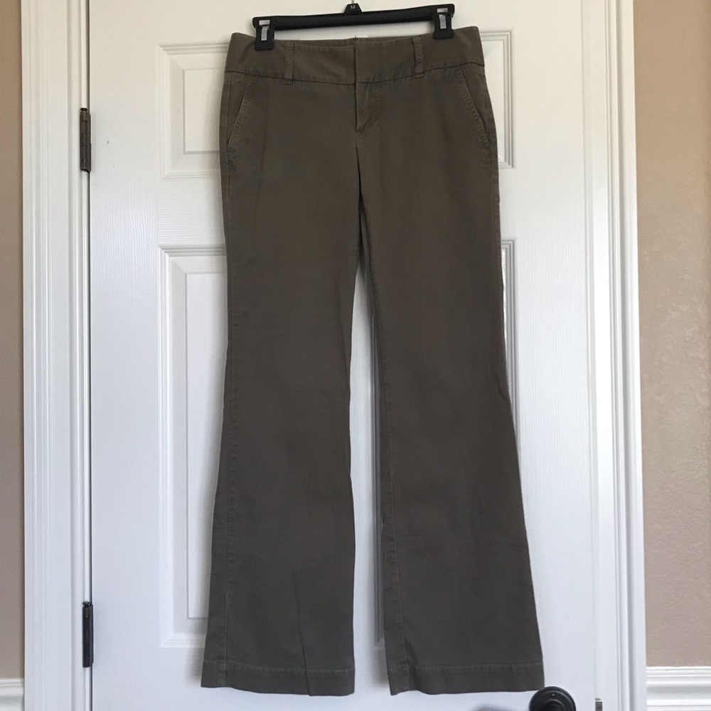 Express Casual Pants